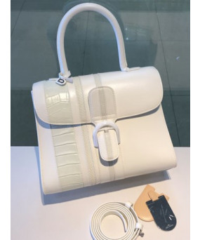 델보 브리앙 박스백 미듐